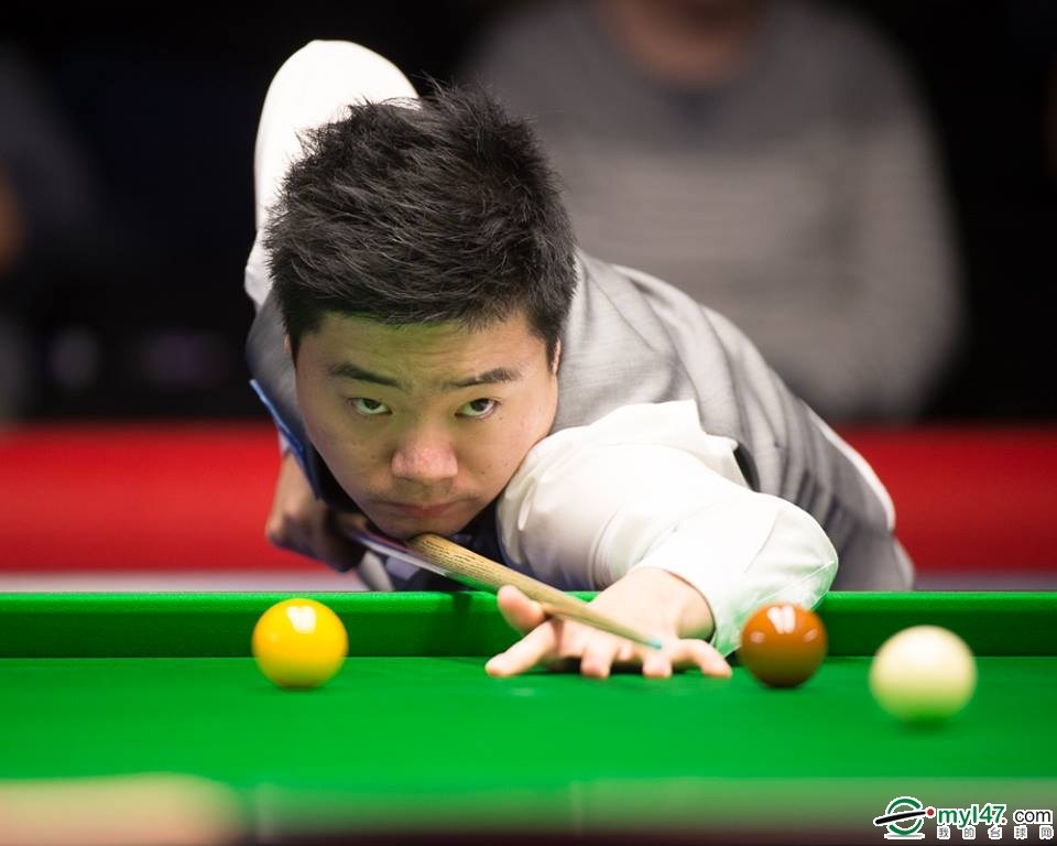 对该项目的 对该项目的